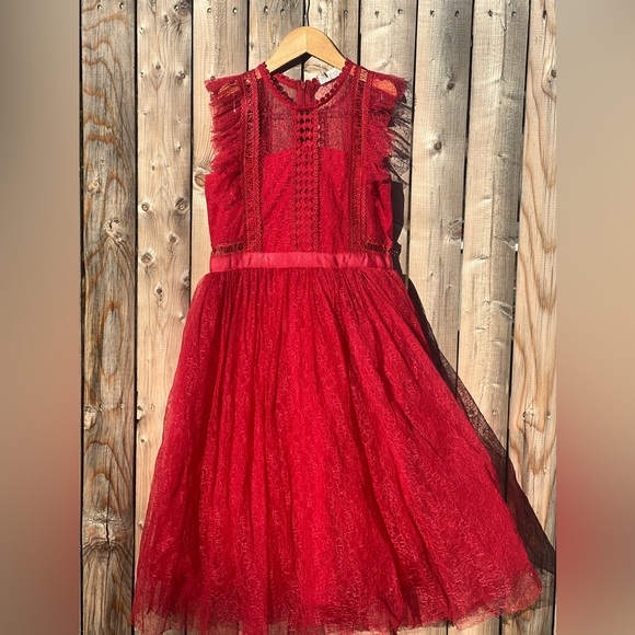 Trish scully child Clarissa dress in red - Picture 2 of 9
